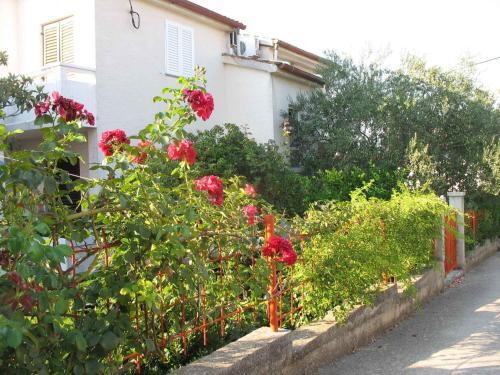 Apartment In Kukljica - Insel Ugljan 38783