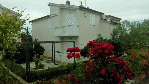 Apartment In Kukljica - Insel Ugljan 38783
