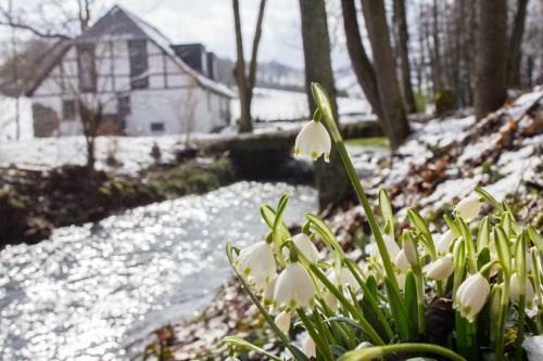 Michels M�hle ... Wieder Land Sehen
