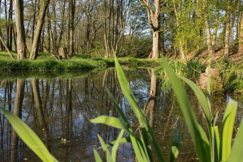 Michels M�hle ... Wieder Land Sehen