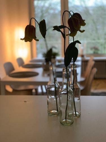 Apartamento Ferienwohnung Parkblick
