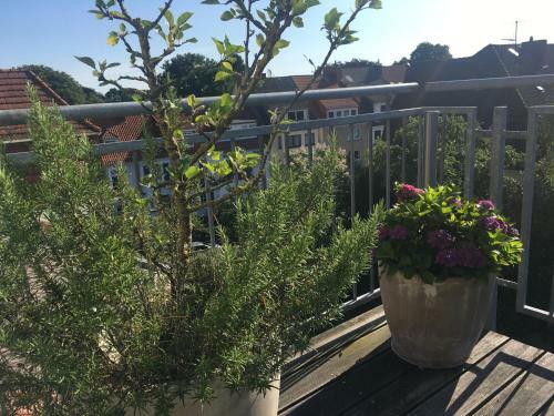 Apartamento Dachstudio Im Geteviertel - Citynah