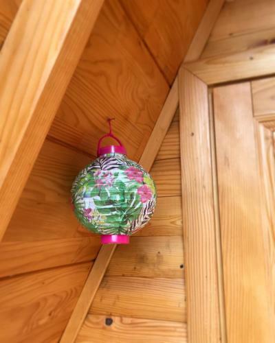 Hostel & Glamping Lana Haus