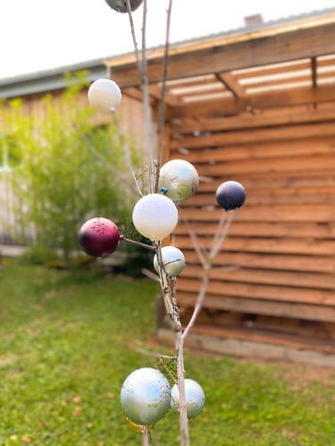 Hostel & Glamping Lana Haus