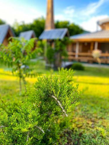 Hostel & Glamping Lana Haus