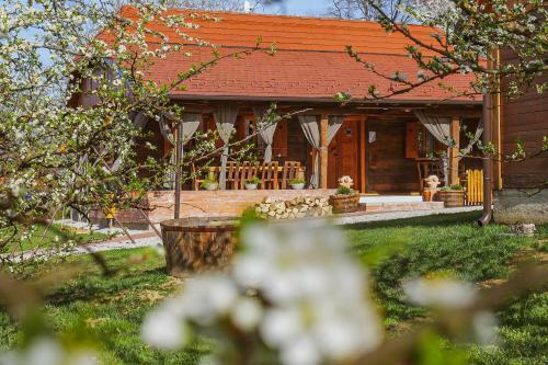 Rural House Lina