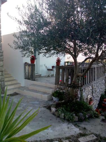 Apartman Amelie