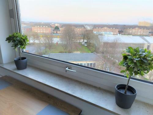 Apartamento Ferienwohnung Seestern 78