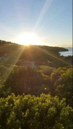 Hostal Ivan And Marica Guest House