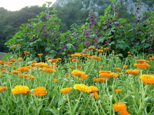 Bed & Breakfast Affittacamere C� Mea Dina
