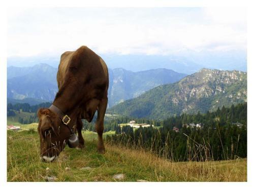 Hotel Garn� Enjoy Ledro