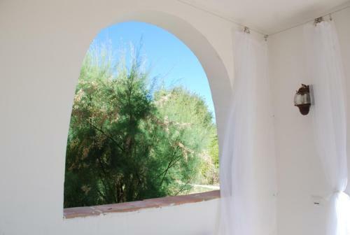 Bed & Breakfast Aloasis