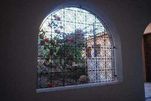 Bed & Breakfast Aloasis
