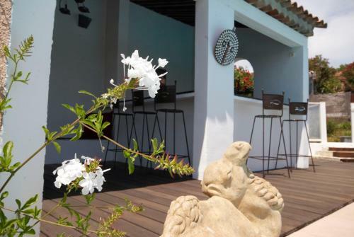 Bed & Breakfast Aloasis