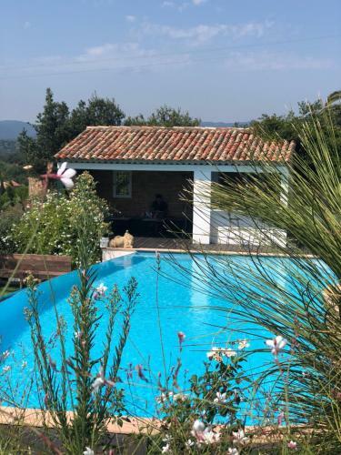 Bed & Breakfast Aloasis