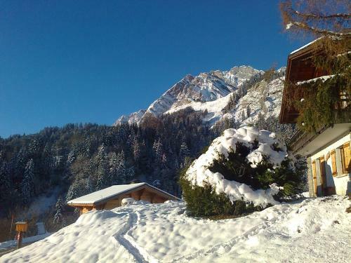 Le Flocon Des Aravis