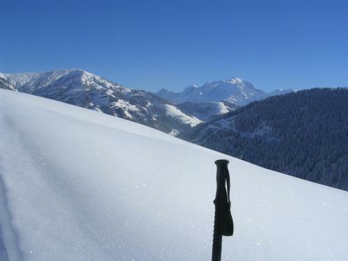 Le Flocon Des Aravis