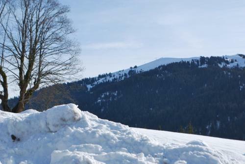 Le Flocon Des Aravis