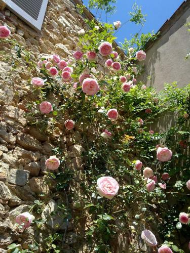 Apartamento Mas De La Petite Jeanne