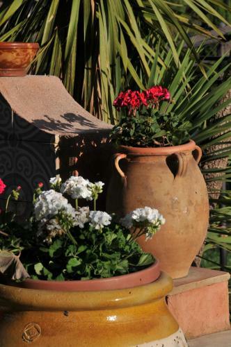 Bed & Breakfast Bastide De L'avelan