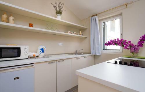 Awesome Home In Lopud With 4 Bedrooms
