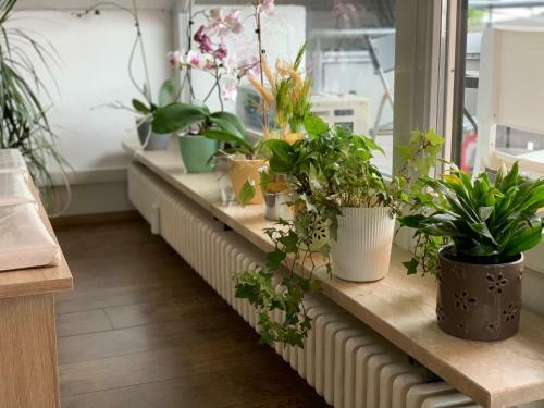 Apartamento Deluxe Family Appartements Haem