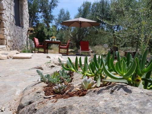 Holiday Home Strpuncina