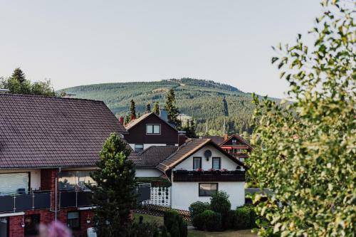 Apartamento Hexe I - Mit Blick Auf Den Wurmberg