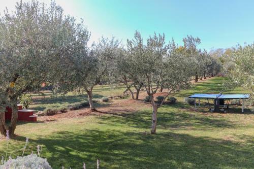 Villa Nona Marija