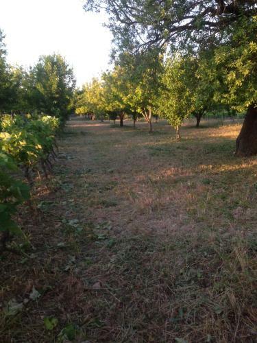 Hostal Apartmani Marijana