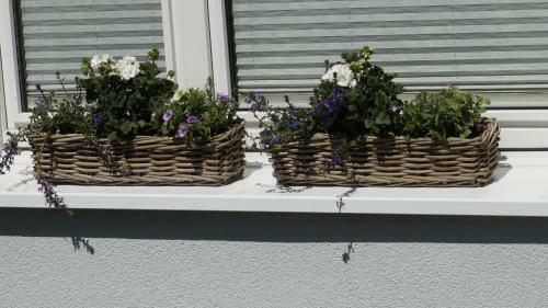 Apartamento Ferienwohnung Wiesenblick