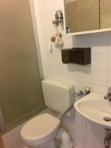 Apartamento Ferienwohnung Harzsterne