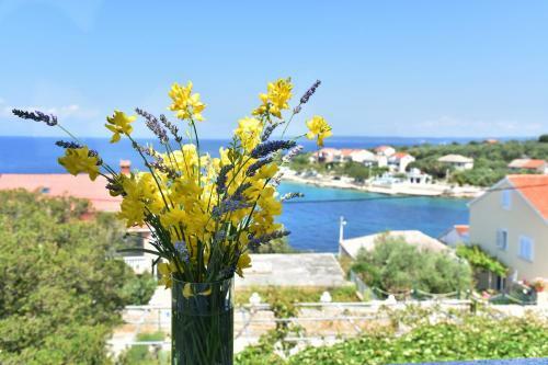 Apartmani Badurina - Maslina