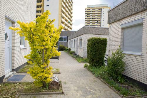 Apartamento Panoramic Hohegei� App 646 Mit Wlan
