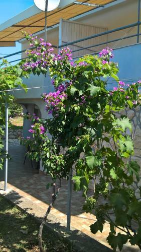 Apartments Kru?vina
