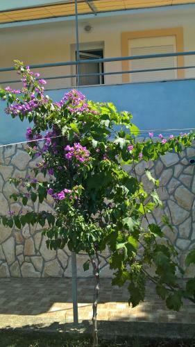 Apartments Kru?vina