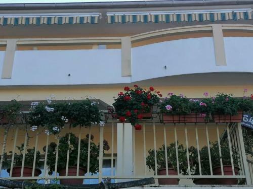 Apartments By The Sea Lun, Pag - 19358
