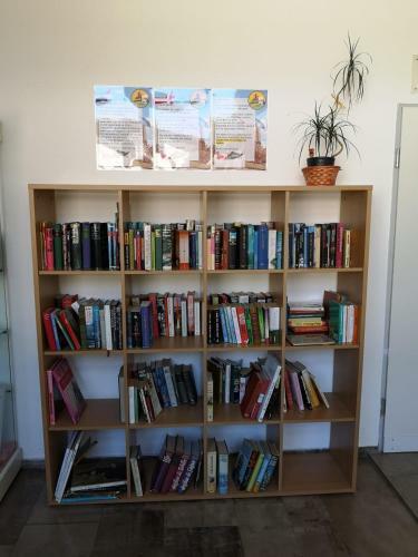 Apartamento Harz-fewo Ky487