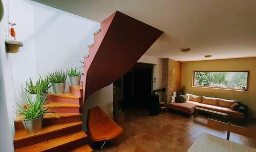 Villa Zelena Ku?a- Green House