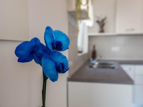 Apartment Antonio