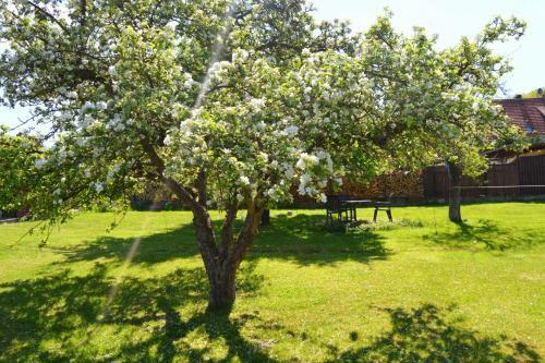 Apartamento Ferienwohnung Waldblick B�ckeburg