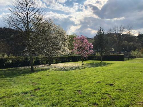 Apartamento Ferienwohnungen Eberhard, Altes Winzerhaus
