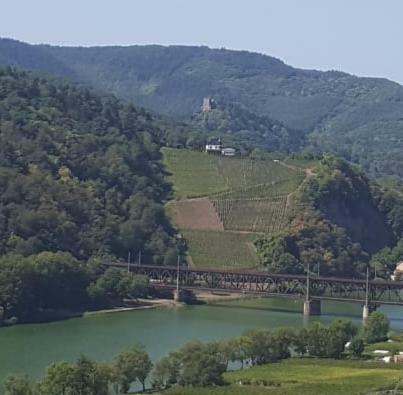 Zur K�nigslay