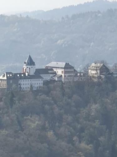 Zur K�nigslay