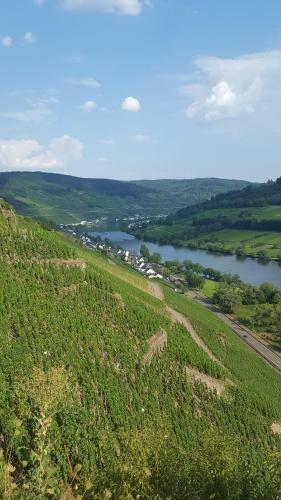 Zur K�nigslay