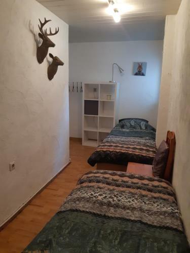Vakantiehuis Rust & Ruimte