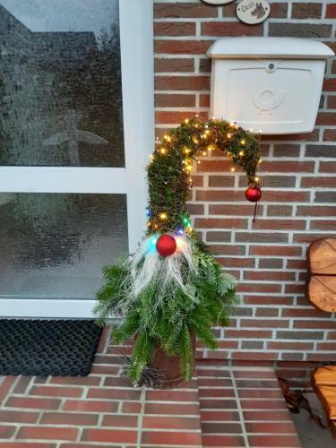 Apartamento Storchennest