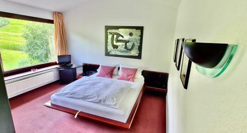 Hostal Hotel Pension Linz