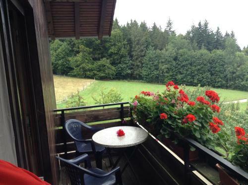 Hostal Pension Sch�nbrunn