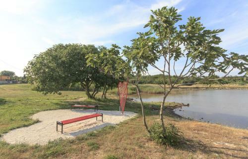 Holiday Home Funtana